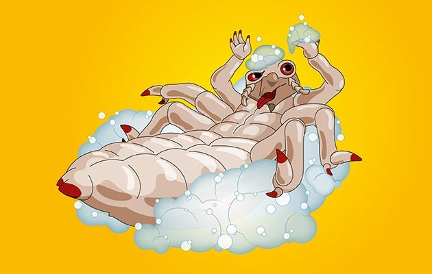 Kopfläuse Behandlungsmöglichkeiten Eine Kopflaus welche in Schaum badet vor einem gelben Hintergrund