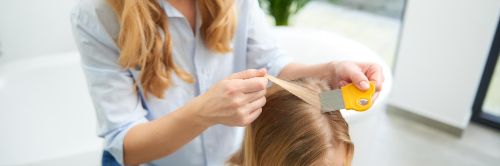 Läuse-oder Nissenkamm Eine Mutter kämmt Ihrer Tochter die Haare mit einem mosquito Läusekamm