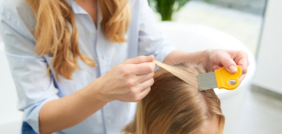 Eine Mutter kämmt Ihrer Tochter die Haare mit einem mosquito Läusekamm